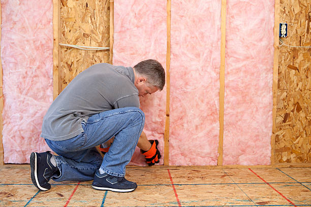 Best Eco-Friendly Insulation in Mount Healthy, OH