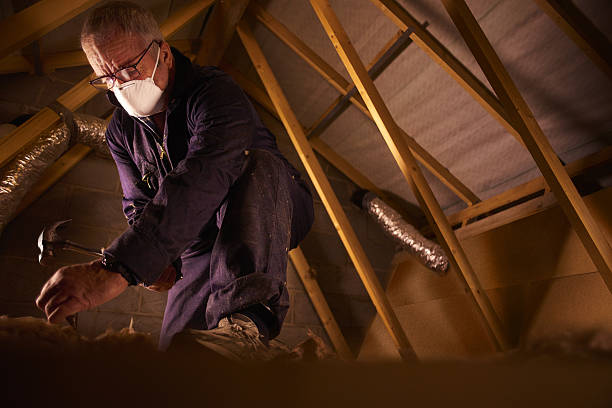 Best DIY Insulation Kits and Guidance in Mount Healthy, OH