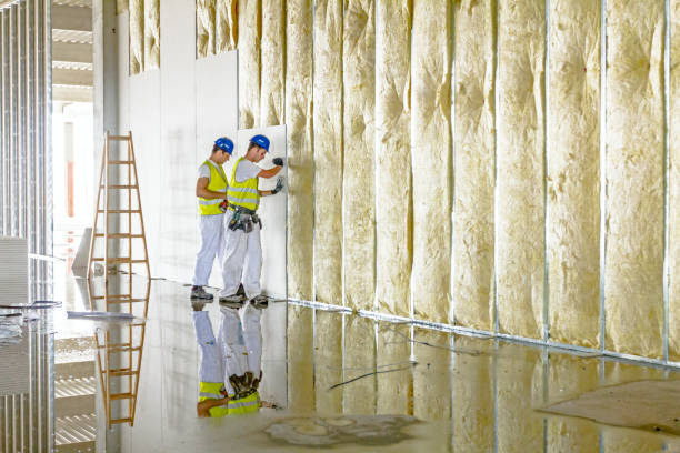 Best Insulation Maintenance and Repair in Mount Healthy, OH